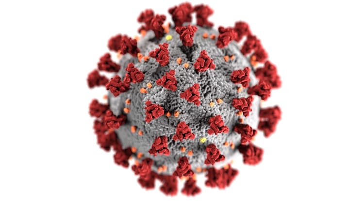 COVID-19/Coronavirus - What are the bad guys up to?